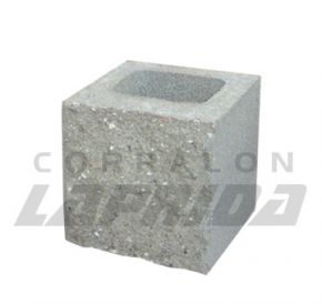 Block Cemento SPT 20x20x20